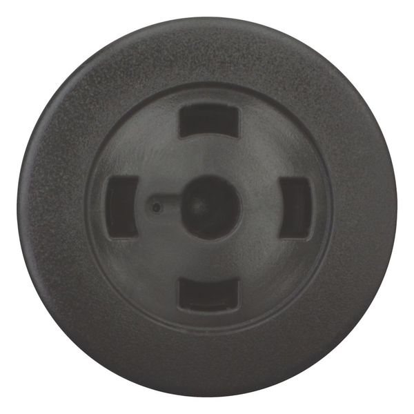 Mushroom actuator, RMQ-Titan, Mushroom, maintained, Mushroom black, Without button plate, Bezel: black image 8