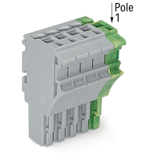 1-conductor female connector Push-in CAGE CLAMP® 4 mm² gray, green-yel image 2