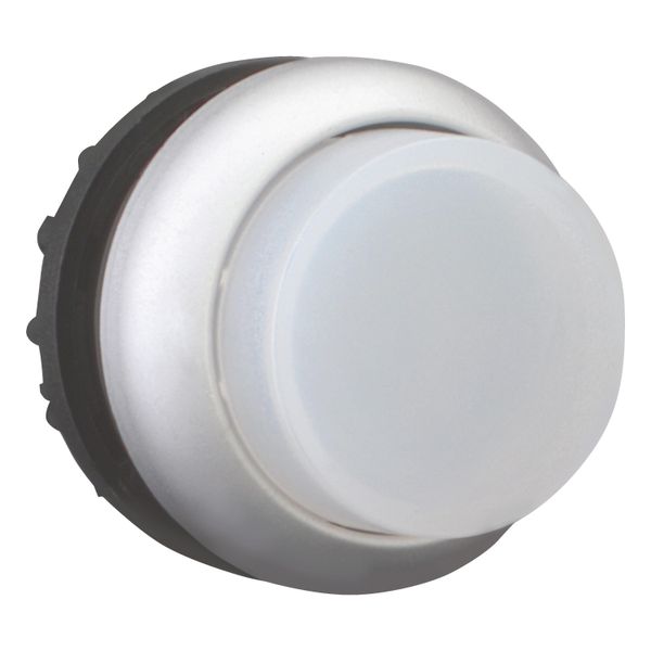 Illuminated pushbutton actuator, RMQ-Titan, Extended, maintained, White, Blank, Bezel: titanium image 7