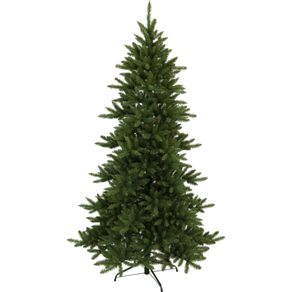Christmas Tree Minnesota image 1