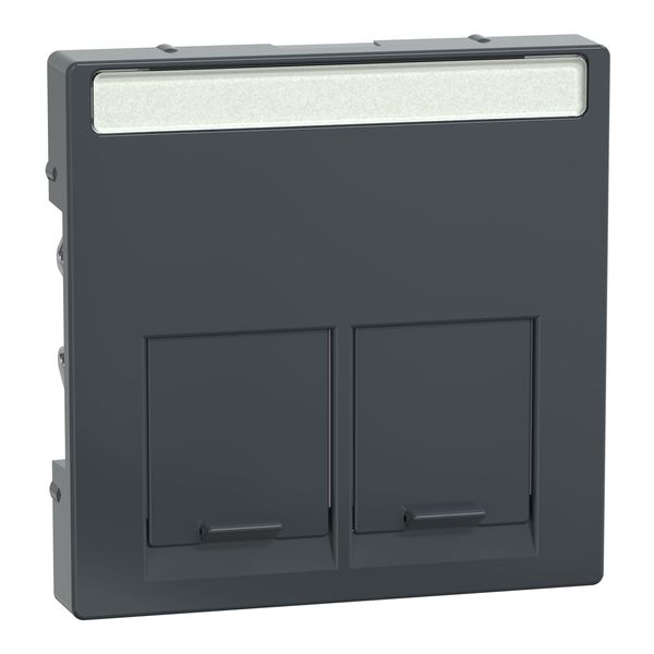 Central plate 2-gang for Schneider Electric RJ45-Connector, anthracite, System M image 2