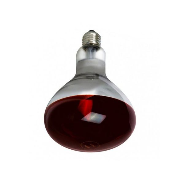 Reflector Bulb E27 375W R125 IKZK  RED Belight image 1
