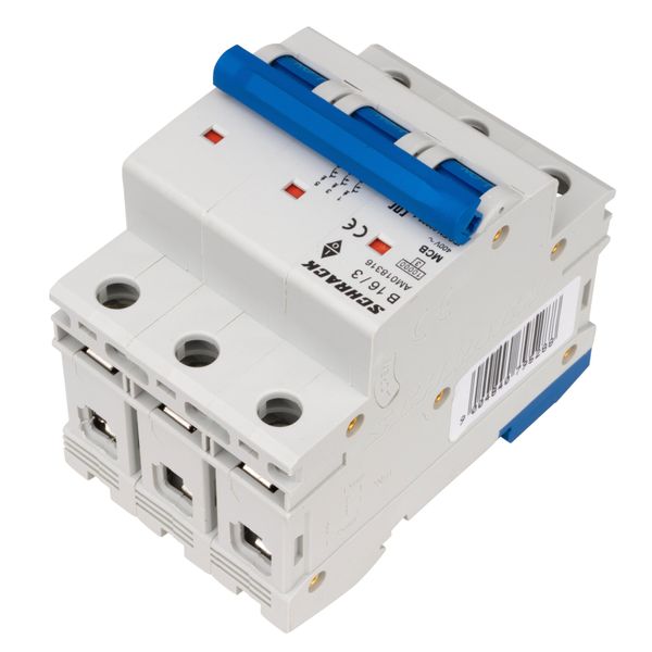 Miniature Circuit Breaker (MCB) AMPARO 10kA, B 16A, 3-pole image 4