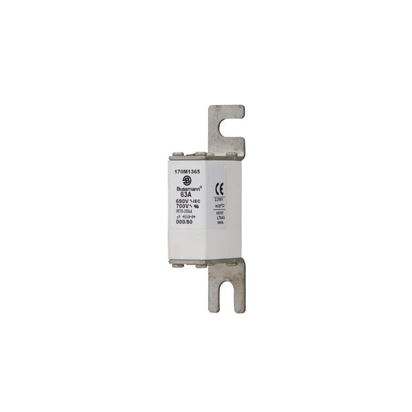 Fuse-link, high speed, 63 A, AC 690 V, DIN 000, 21 x 40 x 100 mm, gR, DIN, IEC, single indicator image 6