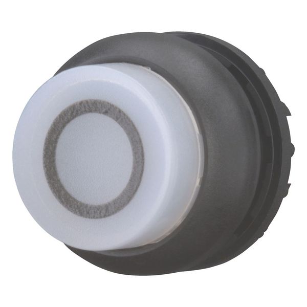 Illuminated pushbutton actuator, RMQ-Titan, Extended, maintained, White, inscribed 0, Bezel: black image 4