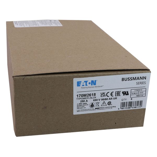 Fuse-link, high speed, 250 A, AC 690 V, DIN 00, 30 x 51 x 100 mm, aR, DIN, IEC, single indicator image 15