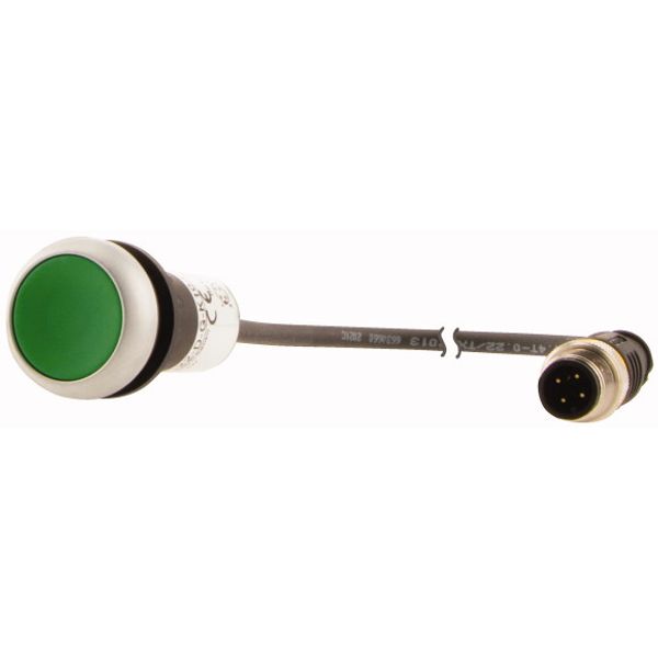 Pushbutton, Flat, momentary, 1 N/O, Cable (black) with M12A plug, 4 pole, 1 m, green, Blank, Bezel: titanium image 3
