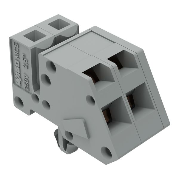 1-conductor female connector, angled CAGE CLAMP® 2.5 mm² gray image 6