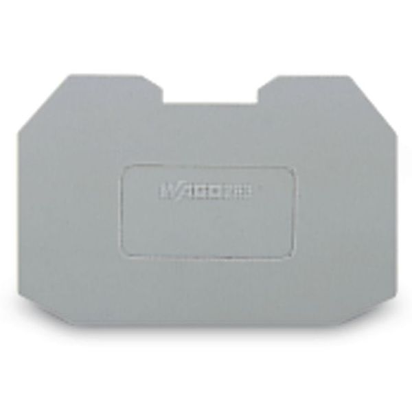 Step-down cover plate 1 mm thick gray image 3