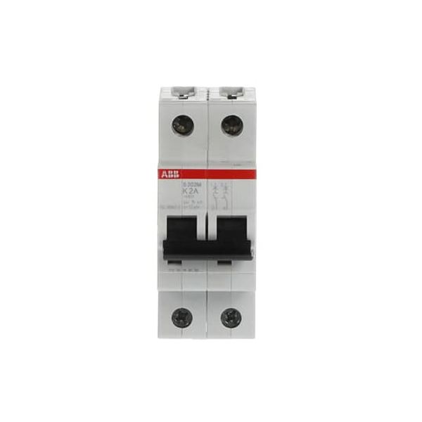 S202M-K2 Miniature Circuit Breaker - 2P - K - 2 A image 5