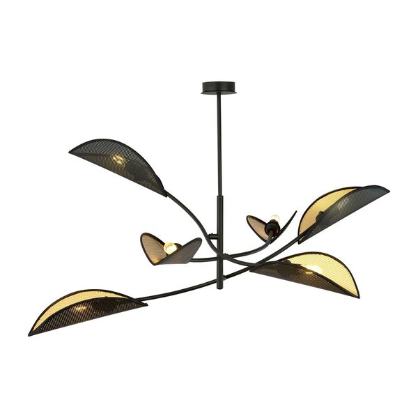 LOTUS 6 BLACK/GOLD image 1