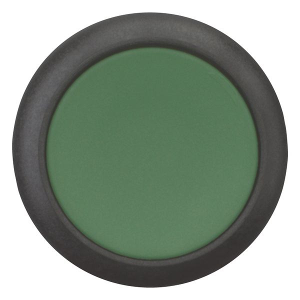 Pushbutton, Flat, maintained, 2 N/O, Screw connection, green, Blank, Bezel: black image 10