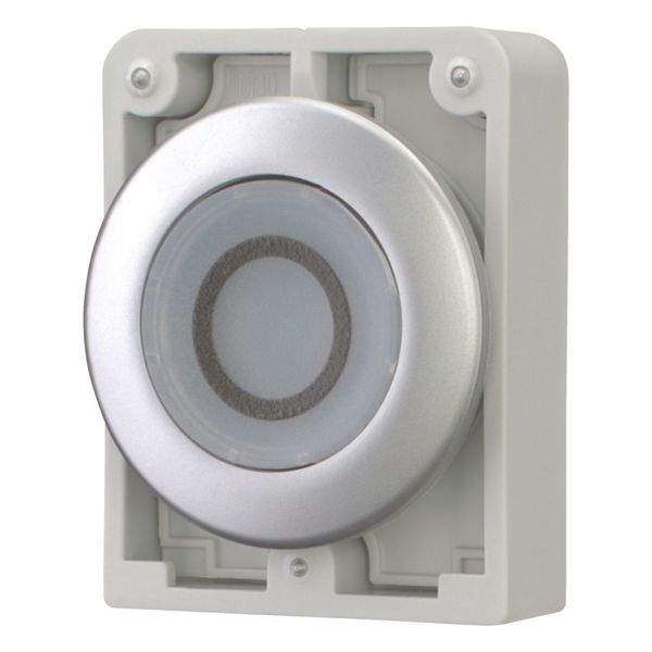 Illuminated pushbutton actuator, RMQ-Titan, Flat, maintained, White, inscribed 0, Metal bezel image 6