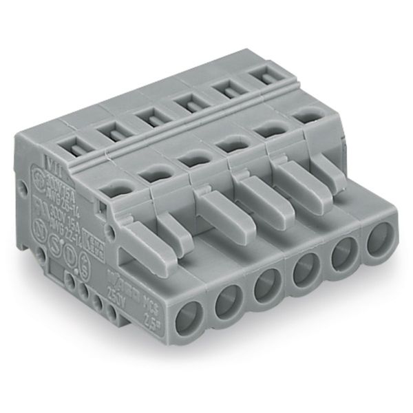 231-102/026-000 1-conductor female connector; CAGE CLAMP®; 2.5 mm² image 1