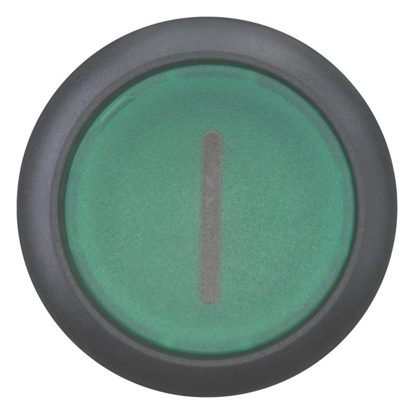 Illuminated pushbutton actuator, RMQ-Titan, Flush, momentary, green, inscribed, Bezel: black image 10