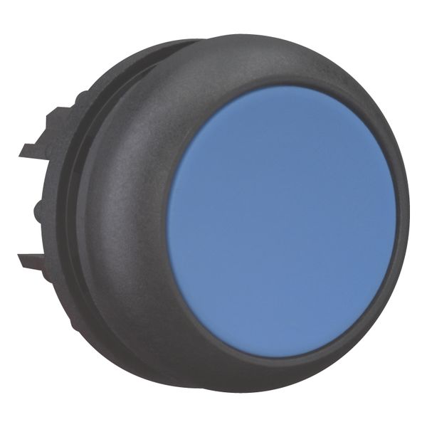 Pushbutton, RMQ-Titan, Flat, maintained, Blue, Blank, Bezel: black image 13