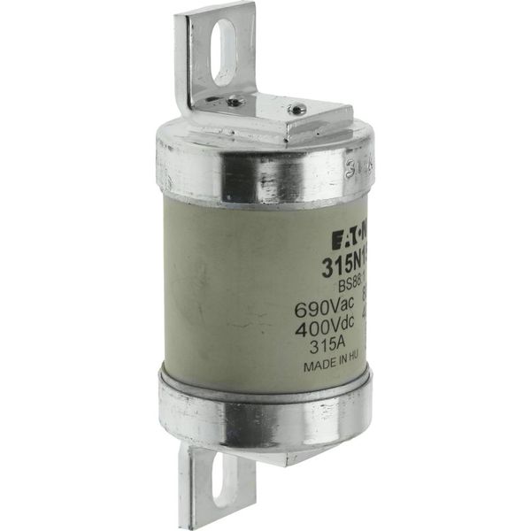 Fuse-link, low voltage, 315 A, AC 660 V, BS88, 49 x 120 mm, gL/gG, BS image 9