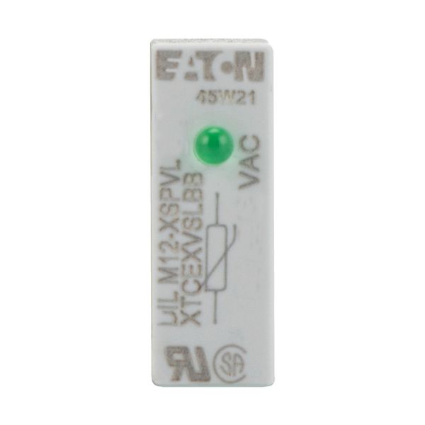 Varistor suppressor circuit, 130 - 240 AC V, For use with: DILM7 - DILM12, DILMP20, DILA image 12