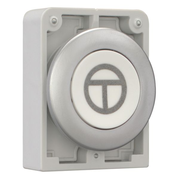 Pushbutton, RMQ-Titan, Flat, momentary, White, inscribed, Metal bezel, ON/OFF image 12