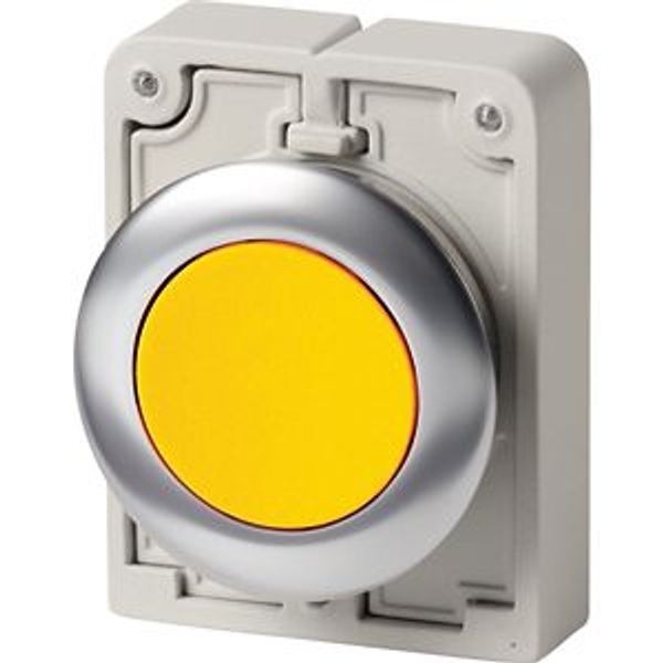 Pushbutton, RMQ-Titan, flat, momentary, yellow, blank, Front ring stainless steel image 2