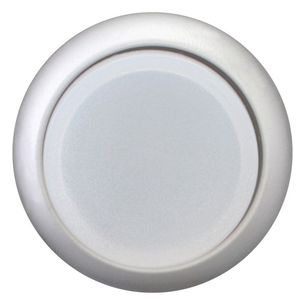 Illuminated pushbutton actuator, RMQ-Titan, Extended, maintained, White, Blank, Bezel: titanium image 2