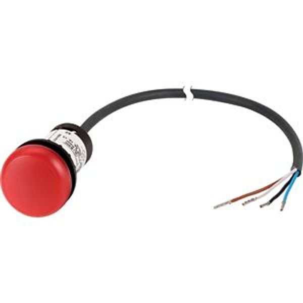 Indicator light, Flat, Cable (black) with non-terminated end, 4 pole, 1 m, Lens Red, LED Red, 24 V AC/DC image 2