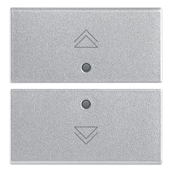 Two half-buttons 2M regul.symbol Silver image 1