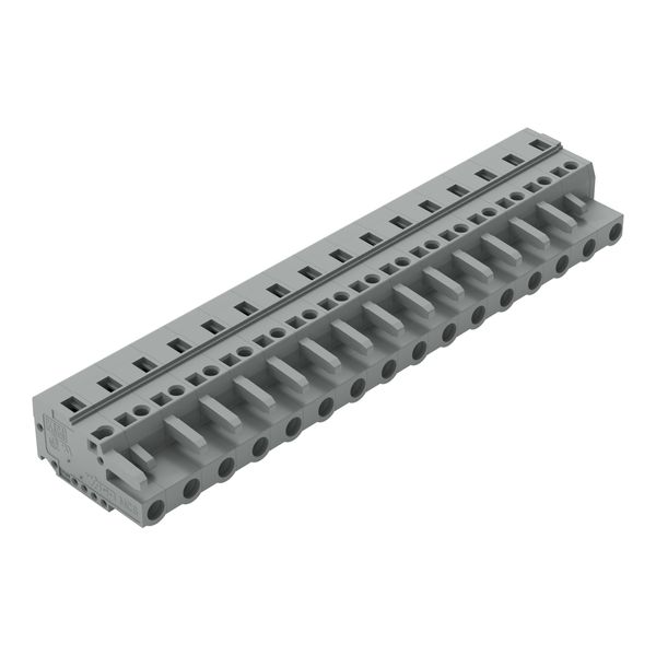1-conductor female connector CAGE CLAMP® 2.5 mm² gray image 5