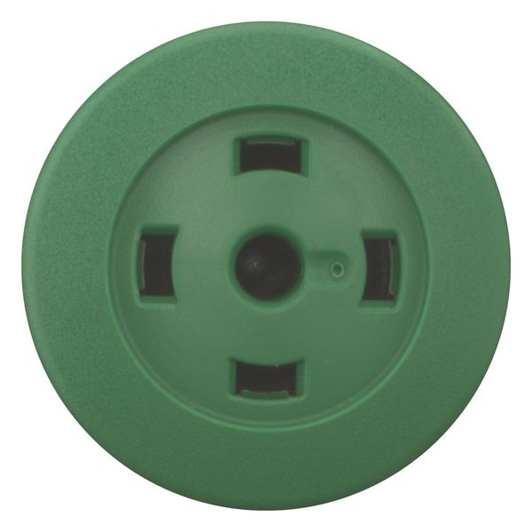 Mushroom actuator, RMQ-Titan, Mushroom, momentary, Mushroom green, Without button plate, Bezel: black image 8