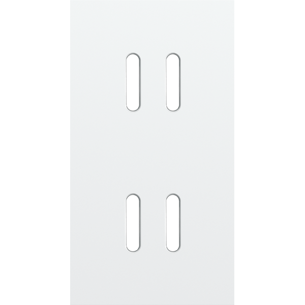 Twofold faceplate, vertical 71 mm centre distance, for double switch f image 1