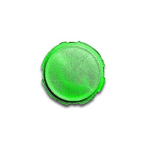 1557-13 Flush Mounted Inserts carat® green image 1