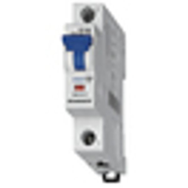 Miniature Circuit Breaker (MCB) D, 50A, 1-pole, 10kA image 2