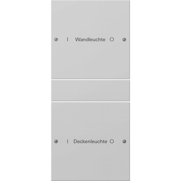 rocker set 2-g (1+1) inscr. System 55 grey m(lac.) image 1