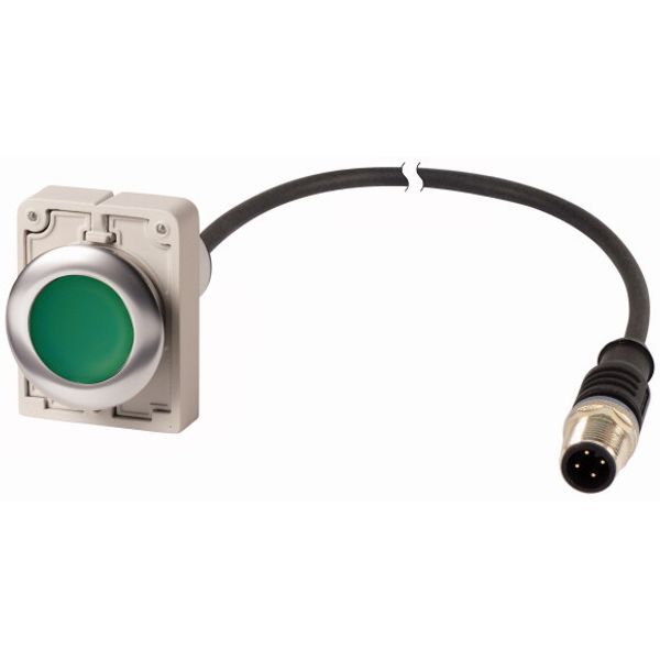 Pushbutton, Flat, momentary, 1 N/O, Cable (black) with M12A plug, 4 pole, 1 m, green, Blank, Metal bezel image 1