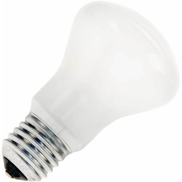 Incandescent Bulb E27 60W 220V FR mushroom image 1