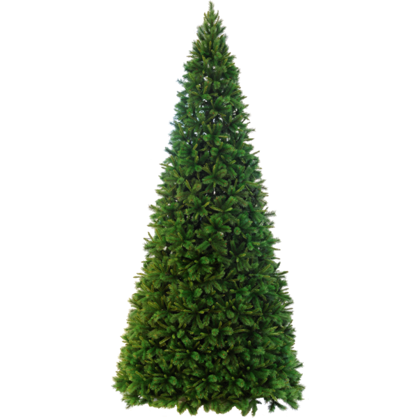 Christmas Tree Colorado image 2
