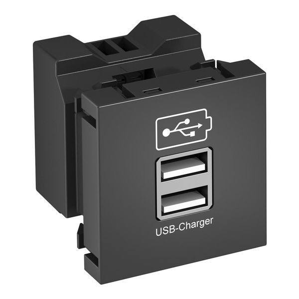 MTG-2UC2.1 SWGR1 USB charger with 2.1 A charging current 45x45mm image 1