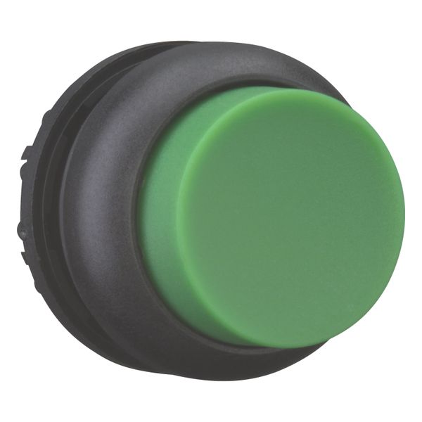 Pushbutton, RMQ-Titan, Extended, momentary, green, Blank, Bezel: black image 8