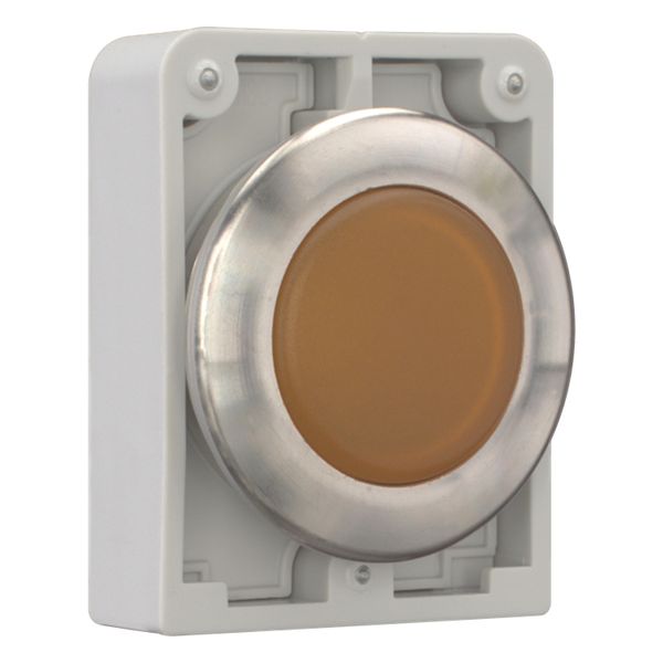 Indicator light, RMQ-Titan, flat, orange, Front ring stainless steel image 11