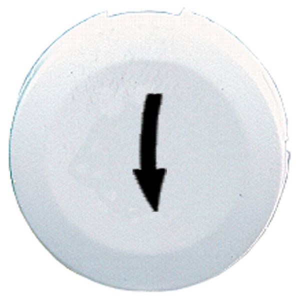 WHITE PLAIN CAP DOWN ARROW FOR CIRCULAR image 1