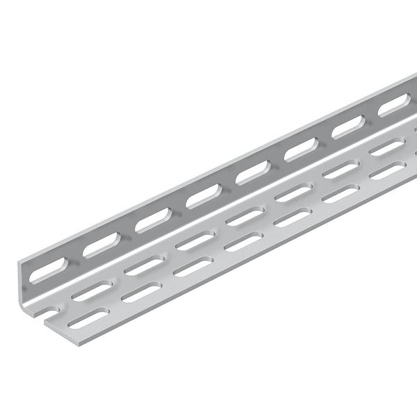 WP 40 65 5000 A2 Angle profile perforated 40x65x5000 image 1