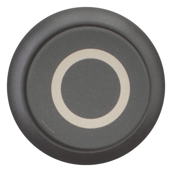 Pushbutton, RMQ-Titan, Extended, maintained, black, inscribed, Bezel: black image 4