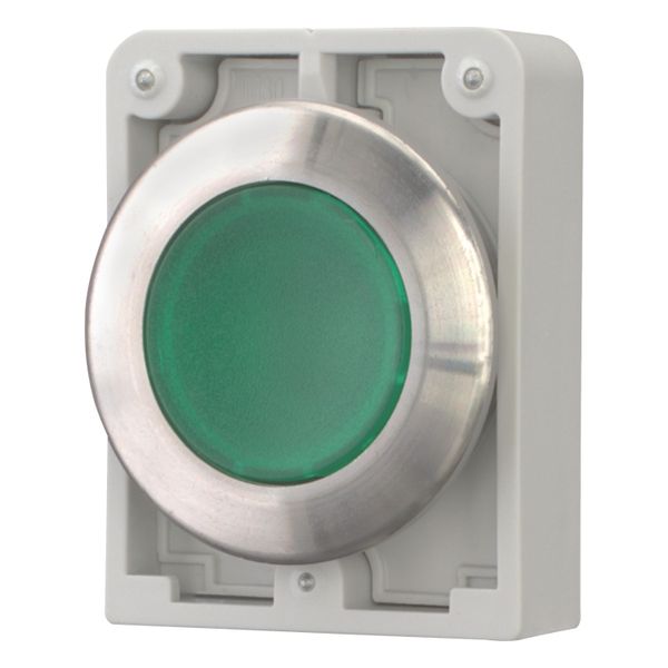 Illuminated pushbutton actuator, RMQ-Titan, flat, momentary, green, blank, Front ring stainless steel image 3