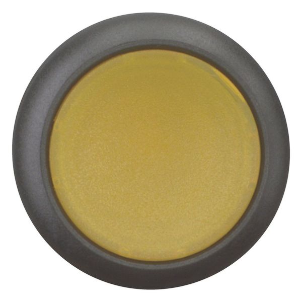 Illuminated pushbutton actuator, RMQ-Titan, Flush, maintained, yellow, Blank, Bezel: black image 2