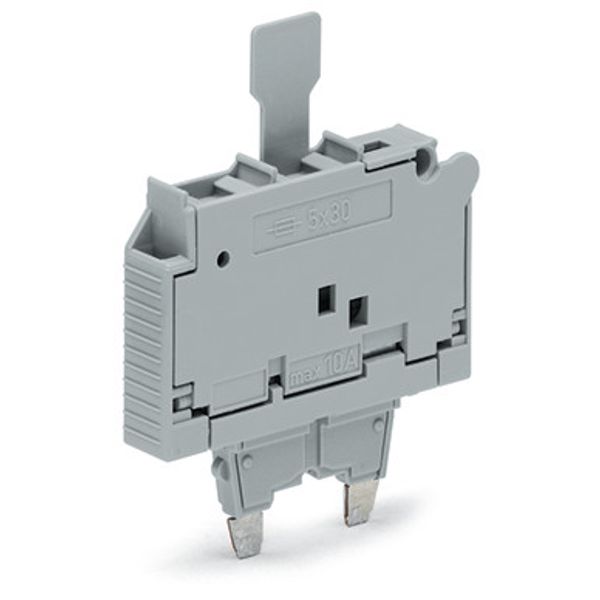 Fuse plug with pull-tab for 5 x 30 mm miniature metric fuse gray image 3