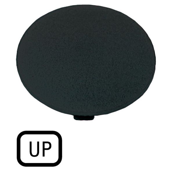 Button plate, mushroom black, UP image 1