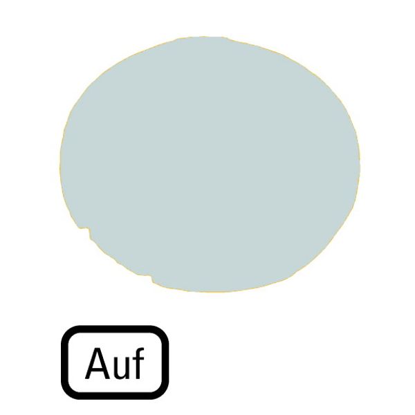 Button lens, flat white, AUF image 1