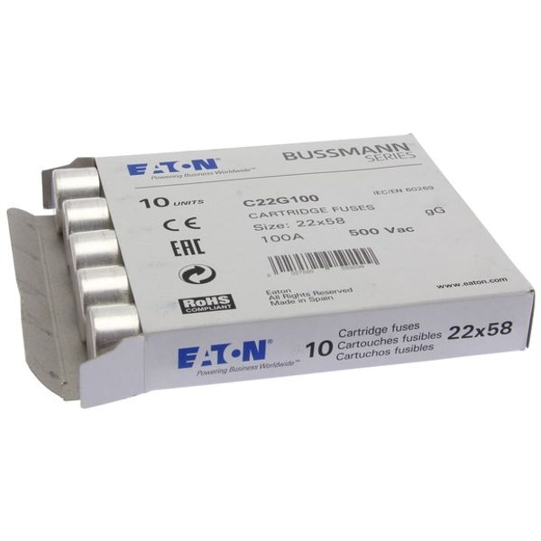 Fuse-link, LV, 100 A, AC 500 V, 22 x 58 mm, gL/gG, IEC image 1