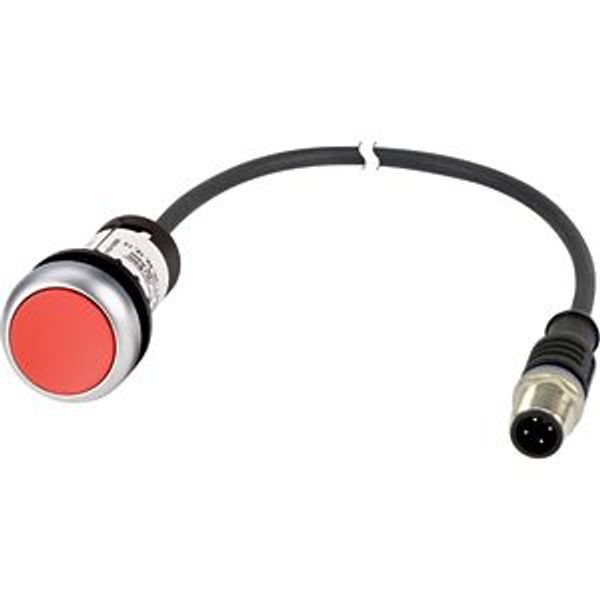 Pushbutton, Flat, momentary, 1 NC, Cable (black) with M12A plug, 4 pole, 0.2 m, red, Blank, Bezel: titanium image 5
