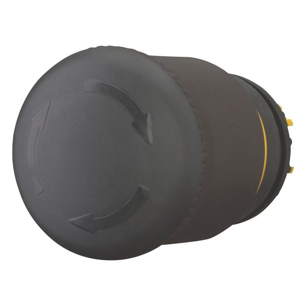 HALT/STOP-Button, RMQ-Titan, Mushroom-shaped, 38 mm, Non-illuminated, Turn-to-release function, Black, yellow, RAL 9005 image 5
